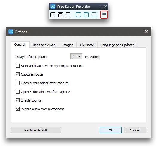 Окно Options Free Screen Video Recorder с общими настройками