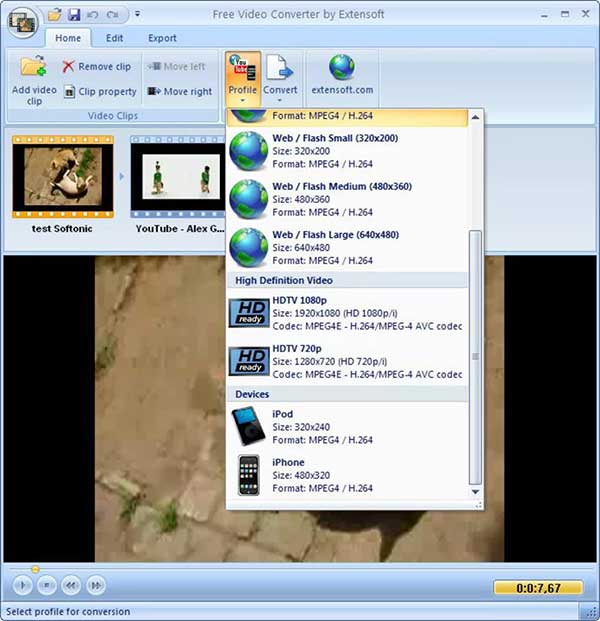 Список профилей Extensoft Free Video Converter с вариантами Web Flash, HDTV, iPod и iPhone