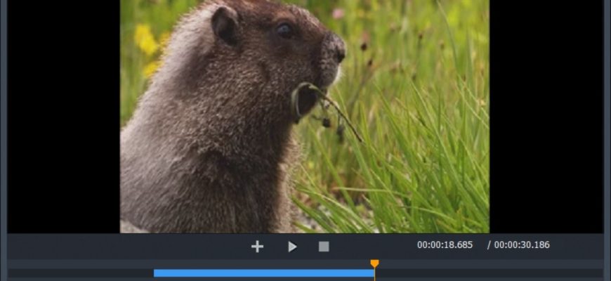 Free Video Cutter Joiner