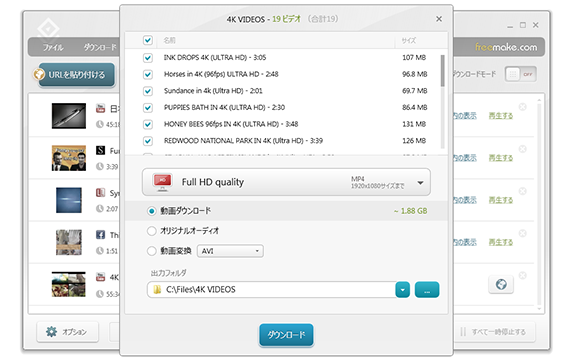 Окно Freemake Video Downloader для выбора роликов из плейлиста и общего профиля сохранения