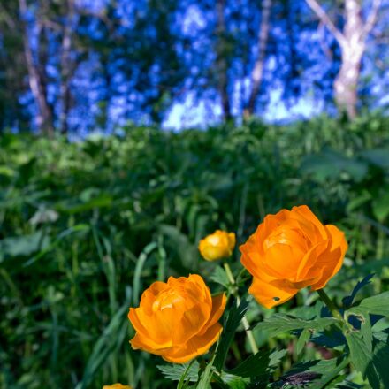 Фотография сделана на sony alpha ilce 7rm5 body