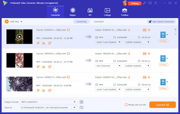 Очередь файлов в 4Videosoft Video Converter Ultimate