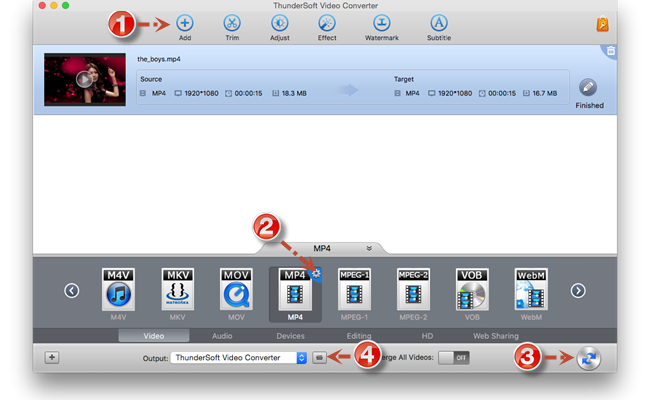ThunderSoft Video Converter