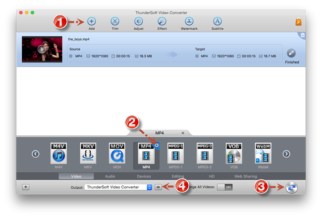 Главное окно ThunderSoft Video Converter for Mac с очередью файла и панелью форматов