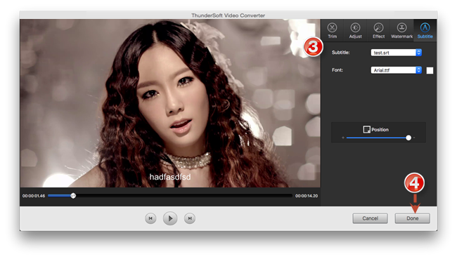 Окно Subtitle ThunderSoft Video Converter с импортом SRT и настройкой шрифта