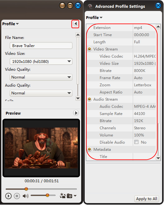 Расширенные параметры видео и аудио ImTOO HD Video Converter
