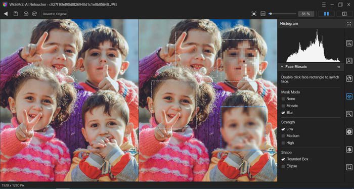 Настройки Face Mosaic для скрытия лиц в WidsMob AI Retoucher