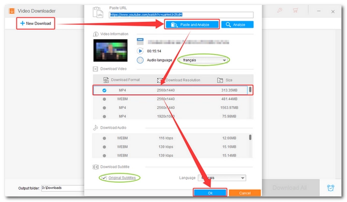 Окно анализа URL в Downloader WonderFox HD Video Converter Factory Pro