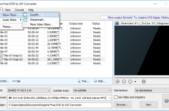 Icepine Free DVD to AVI Converter