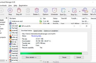 Internet Download Manager