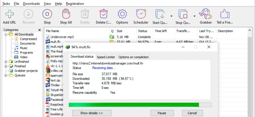 Internet Download Manager
