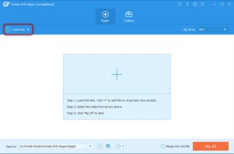 AVAide DVD Ripper