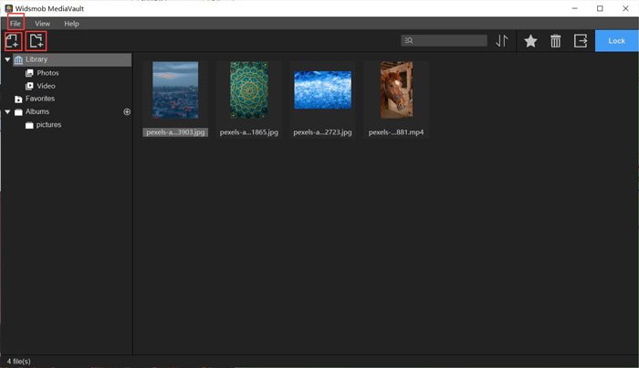 Интерфейс WidsMob MediaVault после импорта фотографий и видео в локальную библиотеку
