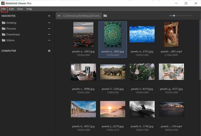 Импорт файлов через меню File в WidsMob Viewer Pro