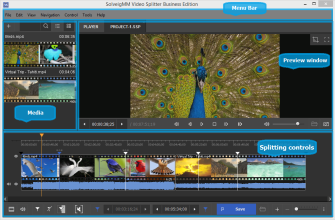 SolveigMM Video Splitter
