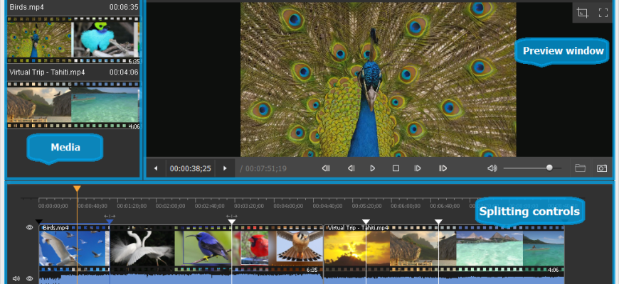 SolveigMM Video Splitter