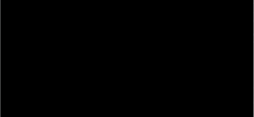 IrfanView