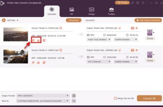 AVAide Video Converter