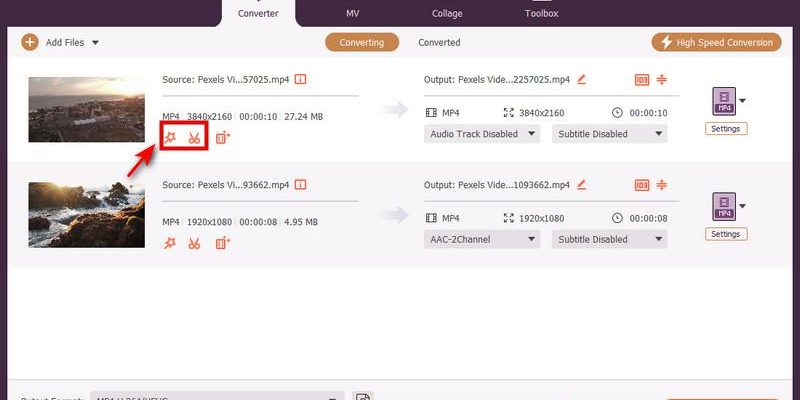 AVAide Video Converter