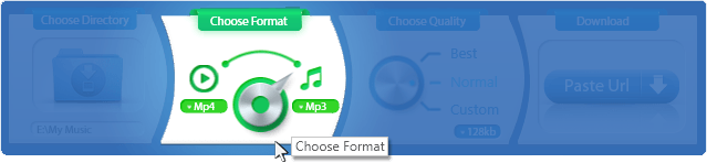 Блок Choose Format в ByClick Downloader с выбором видео и аудиоформата