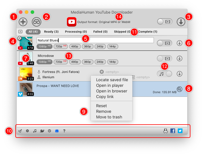 Схема элементов главного окна MediaHuman YouTube Downloader