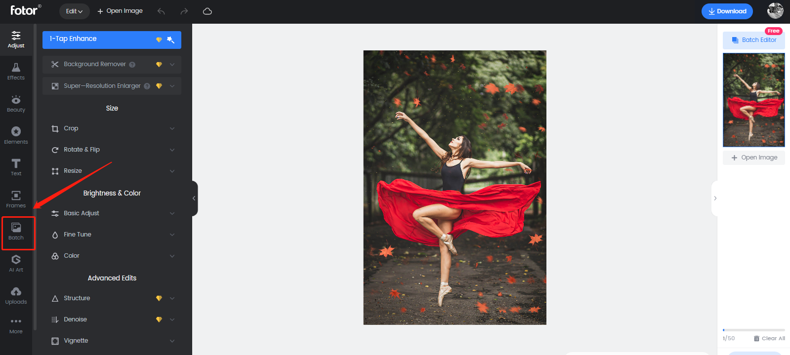 Fotor Photo Editor с выделенным пунктом Batch в левом меню