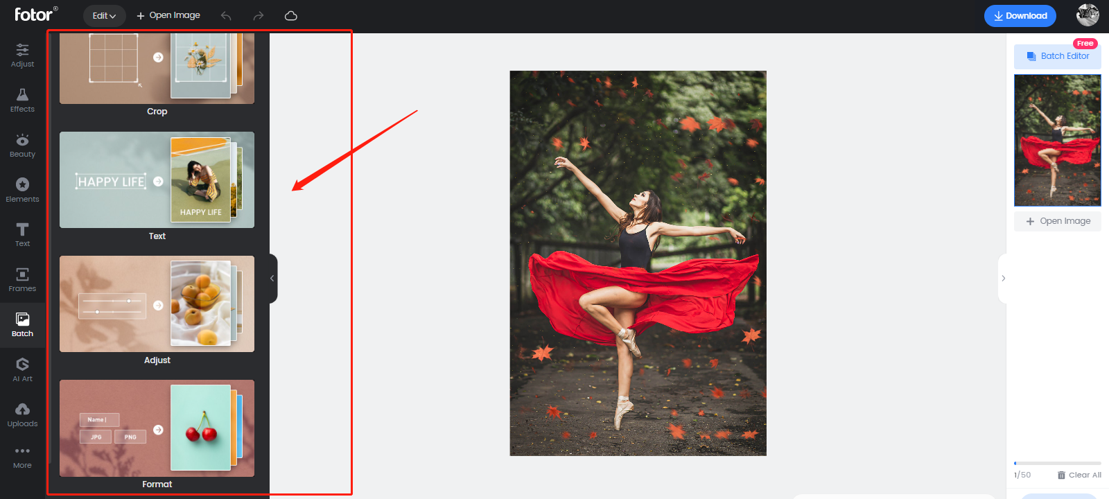 Панель пакетной обработки Fotor с категориями Crop, Text, Adjust и Format