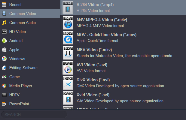Список выходных форматов и профилей устройств в Acrok HD Video Converter