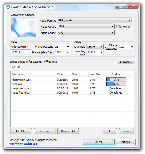 Главное окно Oxelon Media Converter 1.1 с настройками формата и очередью файлов