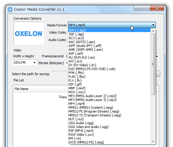 Список Media Format в Oxelon Media Converter