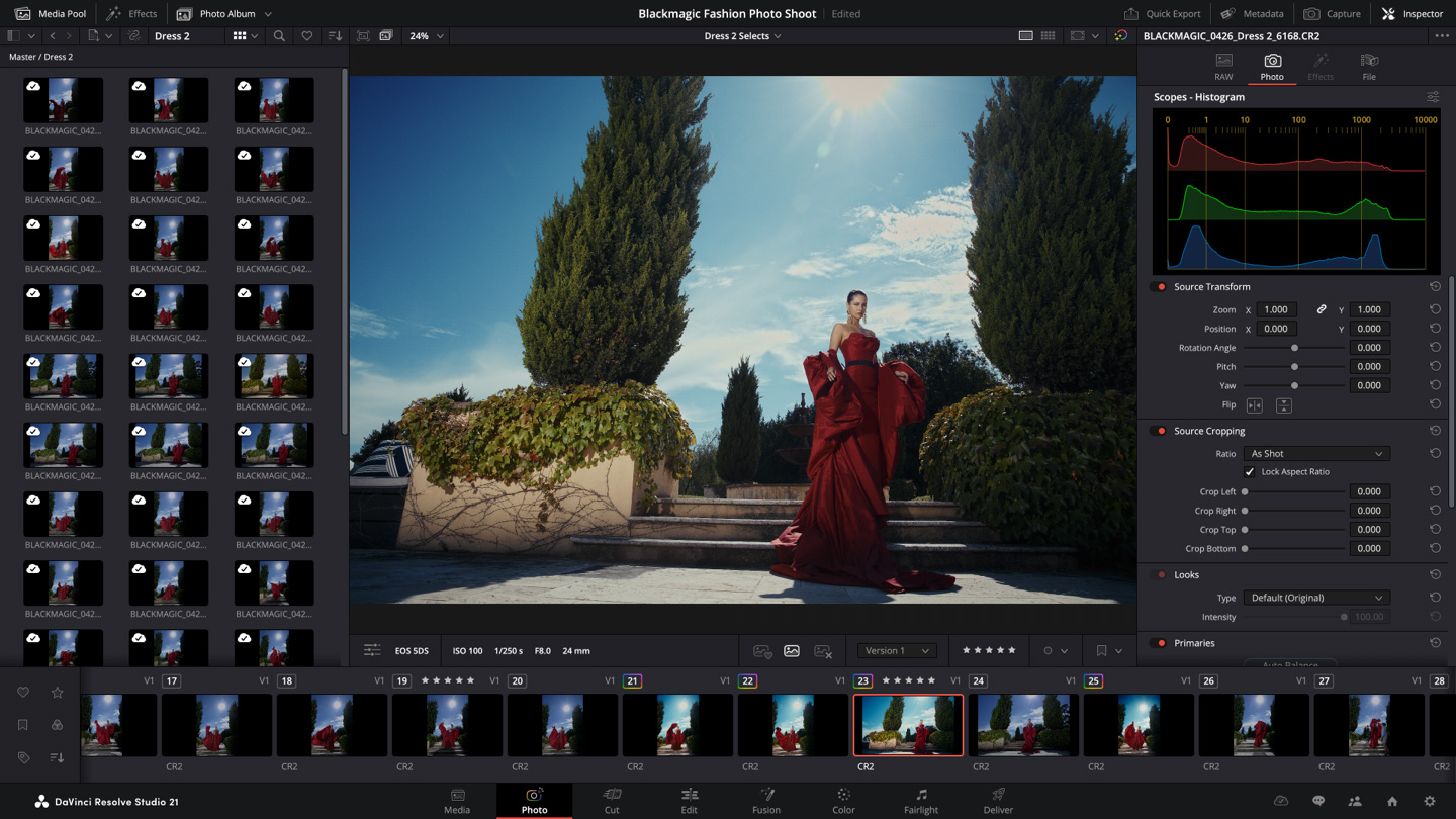 Страница Photo в DaVinci Resolve 21 с альбомами, большим просмотром фотографии и панелью регулировок