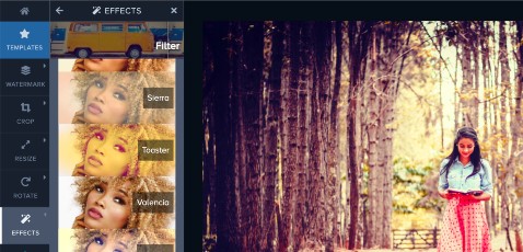 Панель Effects с фотофильтрами в Watermark.ws