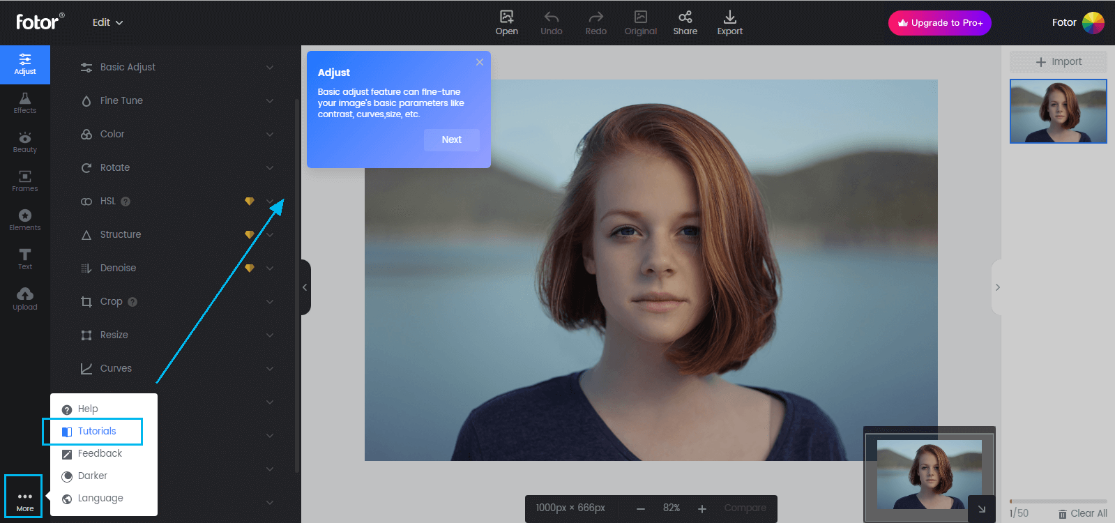 Интерфейс Fotor Photo Editor с панелью Adjust, рабочим холстом и меню инструментов