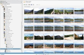 Picasa