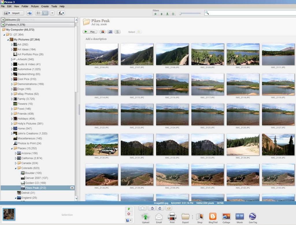 Библиотека Picasa 3 с деревом папок, сеткой миниатюр и нижней панелью команд