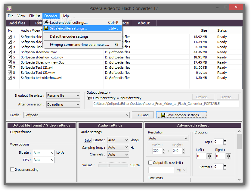 Меню Encoder Pazera Free Video to Flash Converter с загрузкой настроек и параметрами FFmpeg