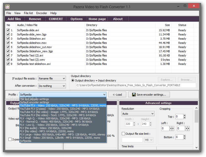 Список профилей Pazera Free Video to Flash Converter с вариантами YouTube FLV и FLV разного качества