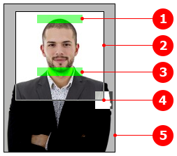 Мобильный предпросмотр IDPhoto4You с метками макушки, подбородка и границами кадра