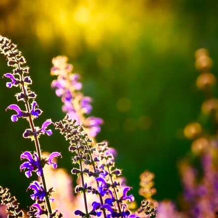 Фотография сделана на panasonic lumix dmc g80 Фотография сделана на panasonic lumix dmc g80