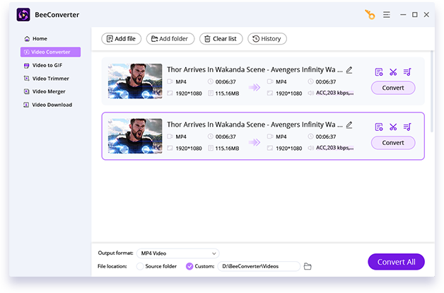 Список импортированных файлов в BeeConverter перед конвертацией