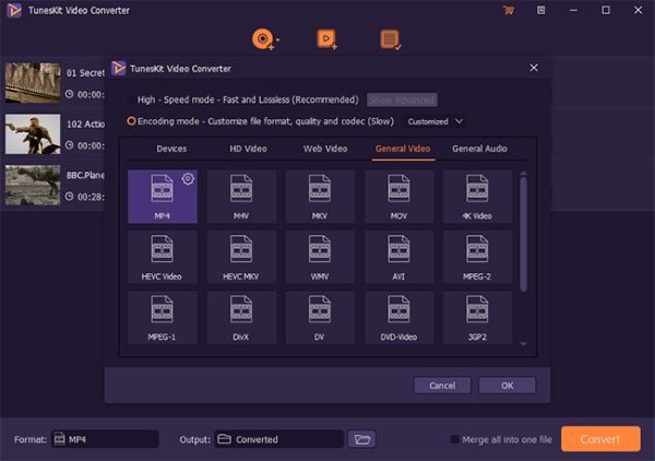 Выбор High-Speed Mode и Encoding Mode в TunesKit Video Converter