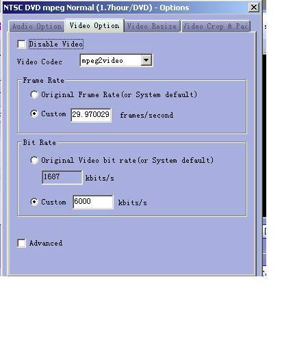 Вкладка Video Option в Total Video Converter