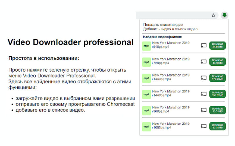 Панель Video Downloader Professional на странице браузера со списком доступных разрешений