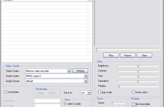 Altarsoft Video Converter
