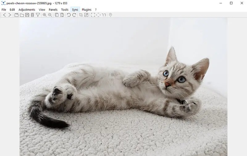 Окно nomacs с открытой фотографией и верхней панелью команд
