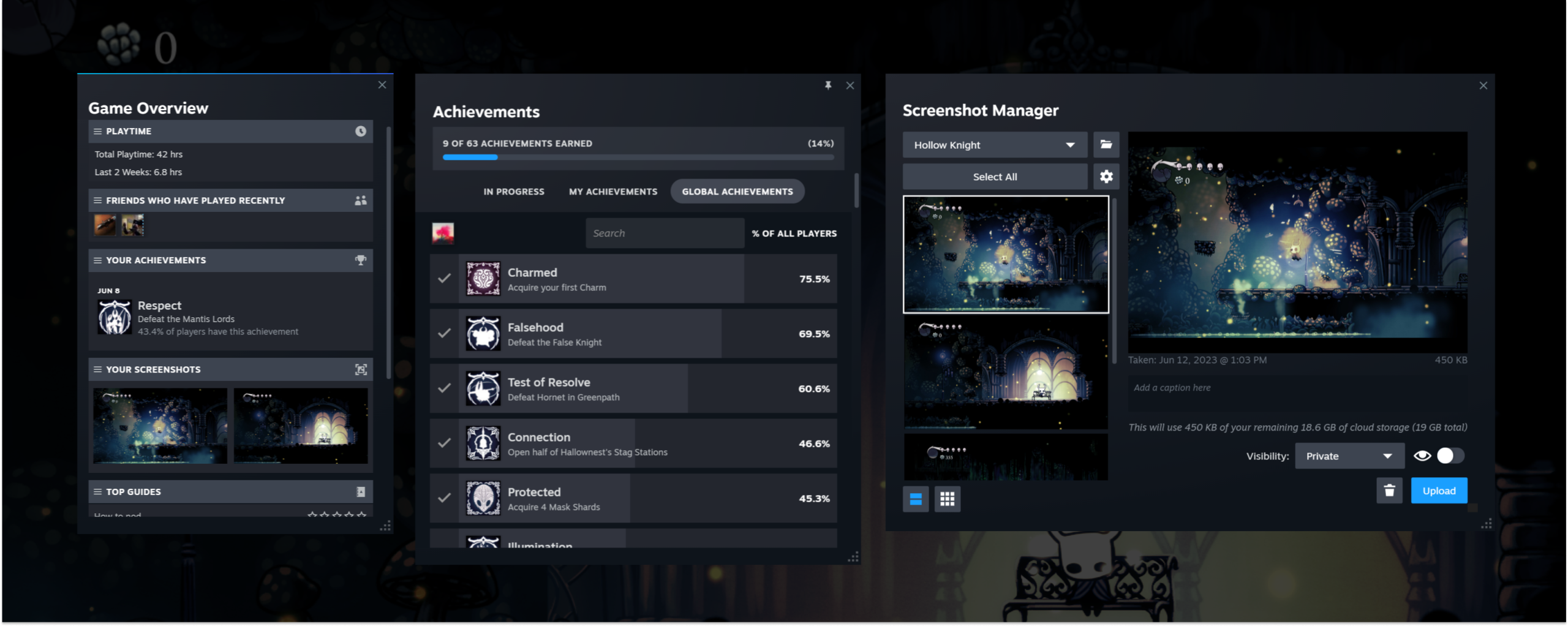 Steam Overlay с менеджером игровых скриншотов