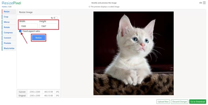 Рабочее окно ResizePixel с фотографией и панелью изменения размера