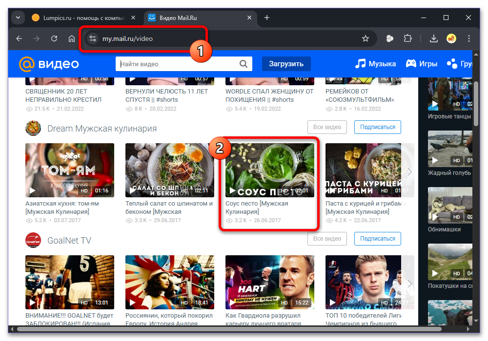 Пример интерфейса видеоплеера Mail.ru в Моем Мире