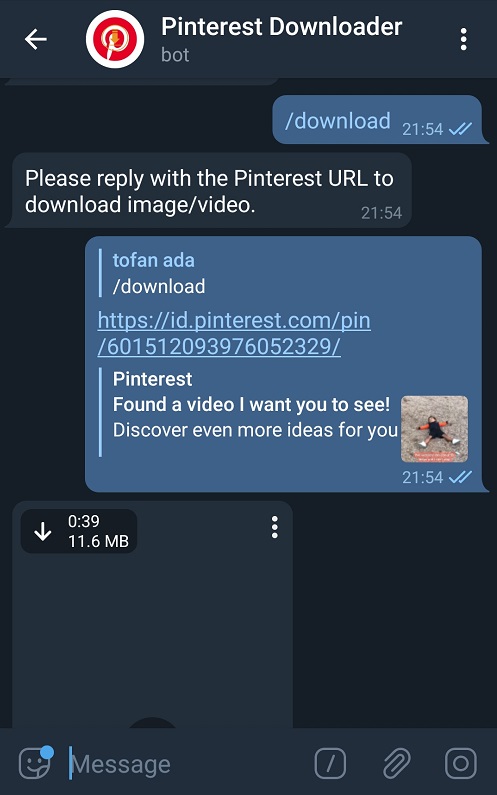 Диалог с Pinterest Downloader Bot в Telegram и отправленная ссылка на пин