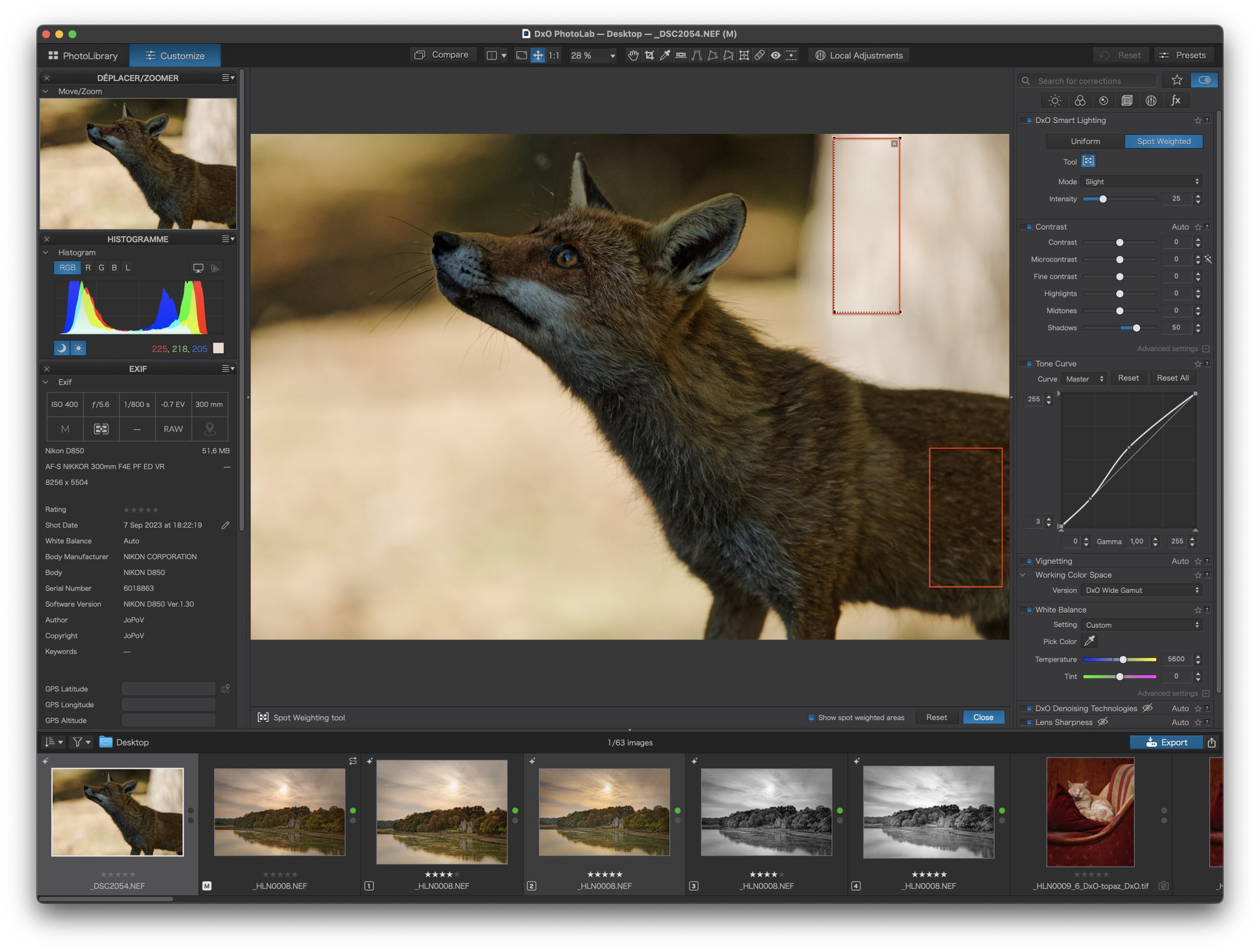 Интерфейс DxO PhotoLab с открытым RAW-снимком, гистограммой, локальными коррекциями и лентой фотографий